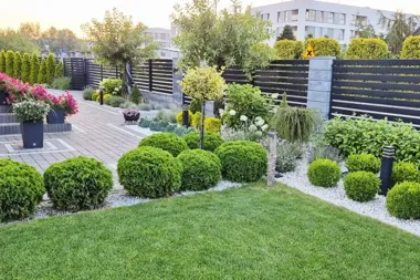 Ogród, balkon, a nawet szkolny skwer – w Ciechanowie rusza konkurs z nagrodami