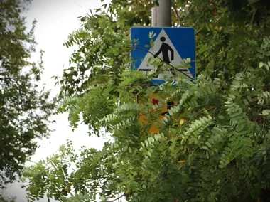 Wakacyjne kontrole przy szkołach ujawniły 101 problemów na drogach Mazowsza