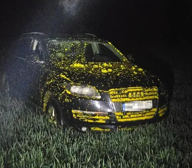 Audi w rzepaku ujawniło fałszywą kradzież i 9 zarzutów