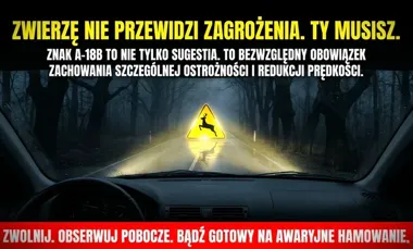 Sekunda na leśnej drodze może skończyć się zderzeniem ze zwierzyną