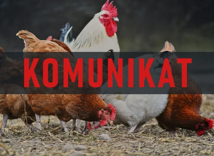 Weterynaria ostrzega hodowców drobiu po ogniskach w sąsiednich powiatach