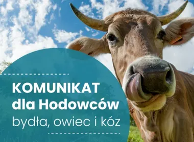 Powiatowy lekarz weterynarii kieruje komunikat do hodowców bydła, owiec i kóz