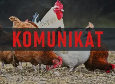Weterynaria ostrzega hodowców drobiu po ogniskach w sąsiednich powiatach